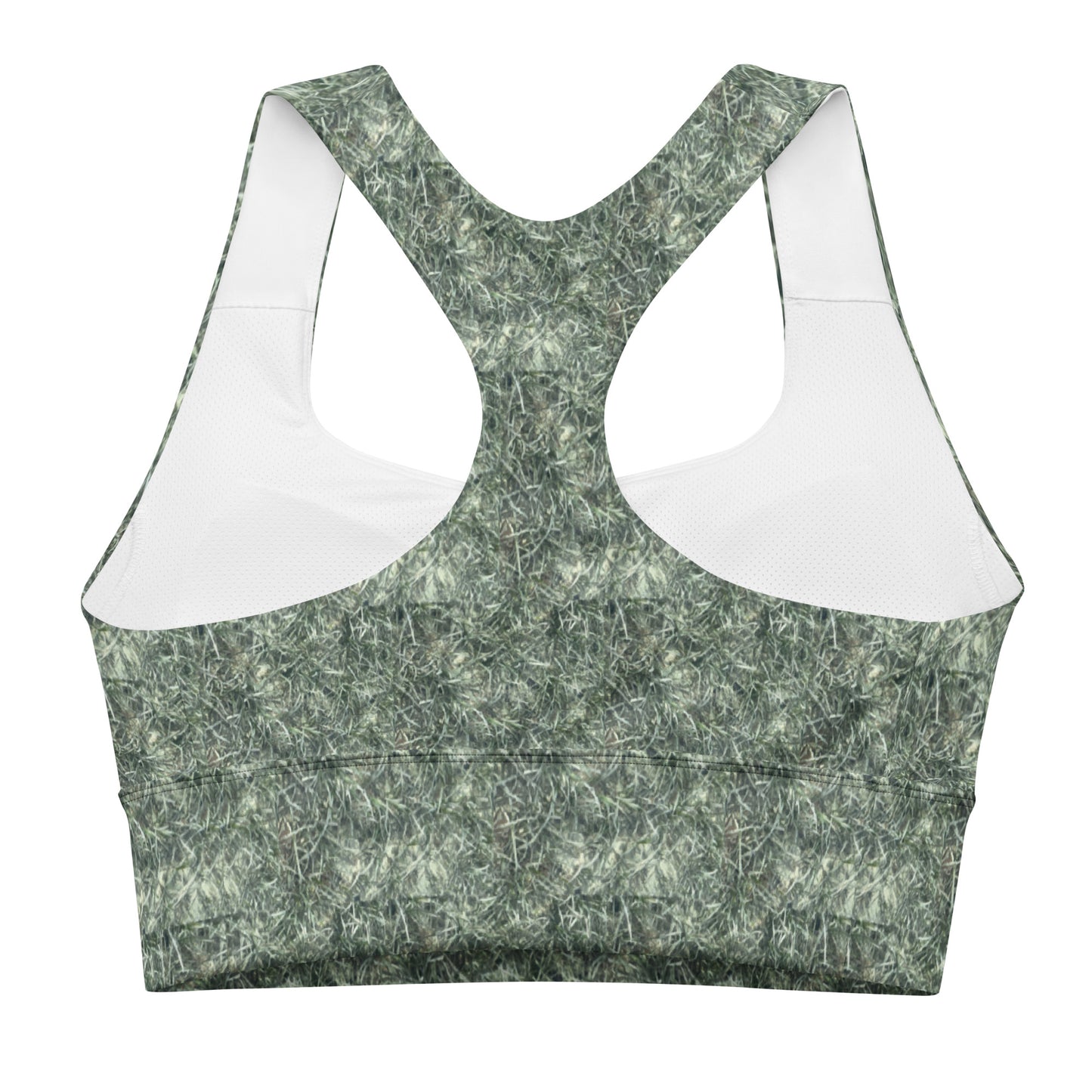 Biscayne sports bra