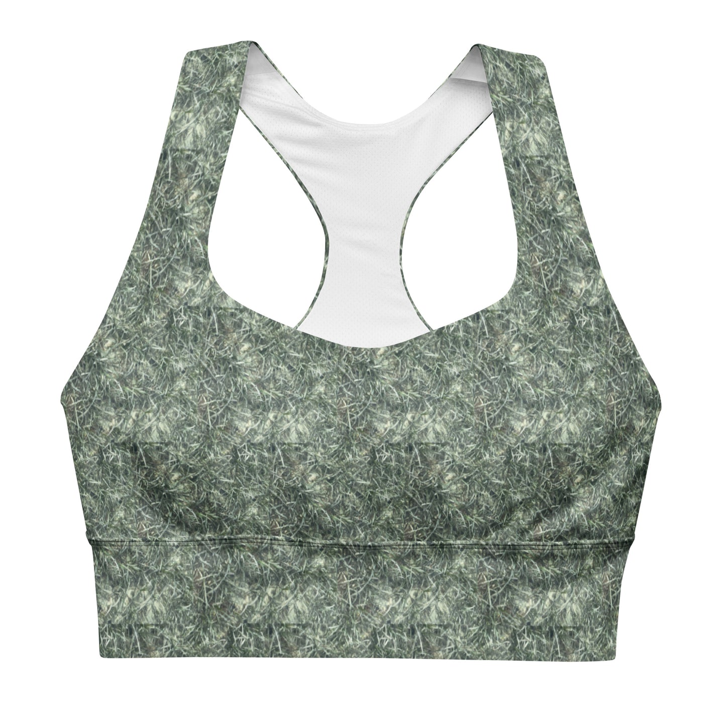 Biscayne sports bra